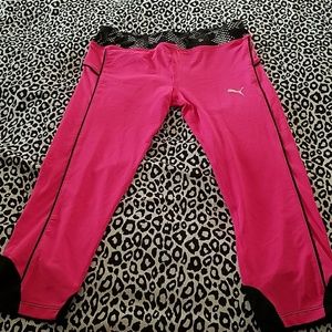 Gym capri pink  neon Puma
